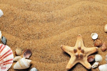 Vacances à la mer : comment partir avec le moins d’argent possible ?
