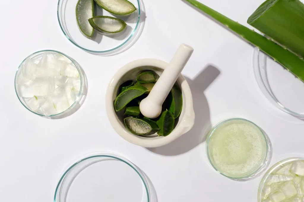 Préparation d'un gel à l'aloe vera pour la zone intime