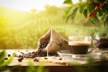 Café bio, le plaisir quotidien qui a du sens